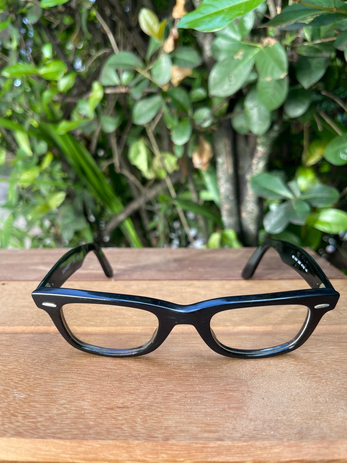 Ray Ban Original Wayfarer Optics
